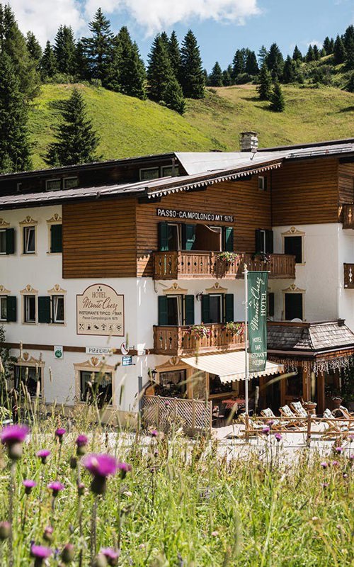 Mountain hotel with terrace surrounded by alpine pasture