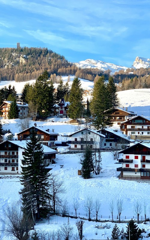 Houses in a snow-covered village