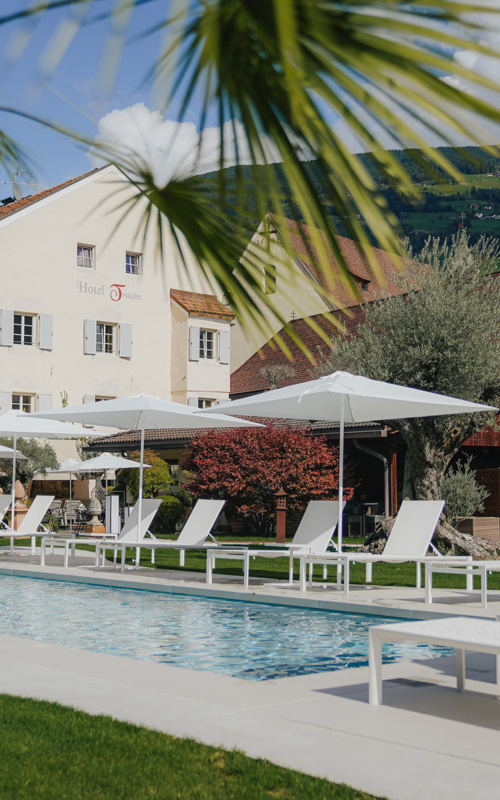 Hotel pool with sunshades & loungers under palm trees