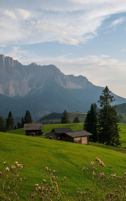 Farm stay on alpine meadow in the mountains
